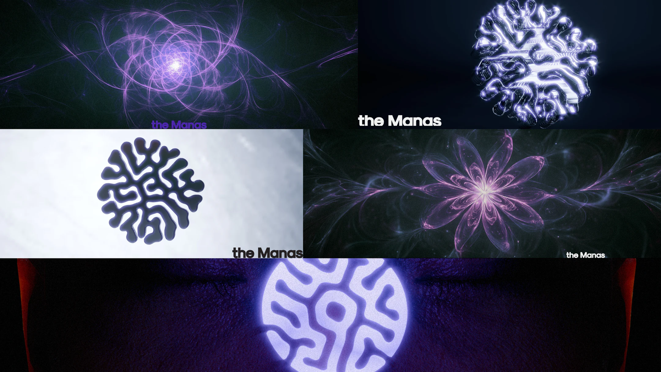 THE MANAS documentation 13
